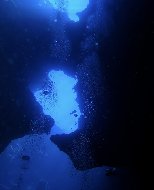 スキューバダイビング　パラオ　洞窟　ブルーホール